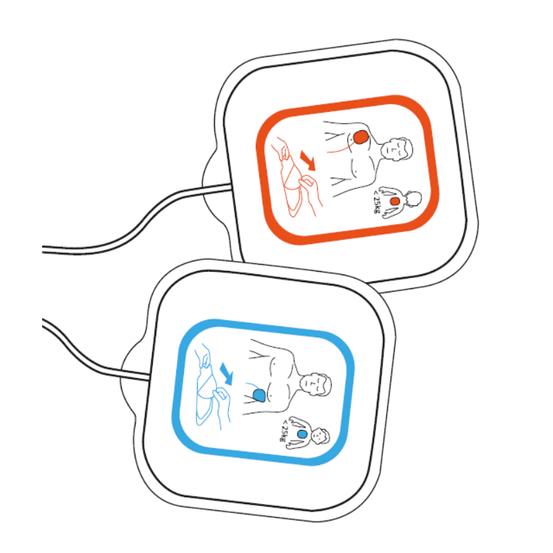 Reanibex 100 électrodes de formation