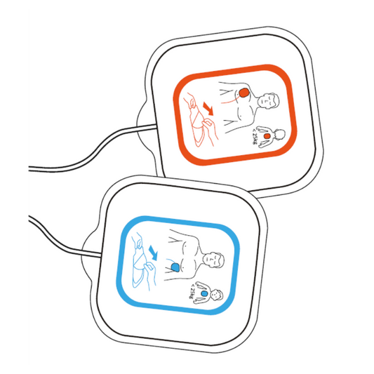 Reanibex 100 électrodes de formation
