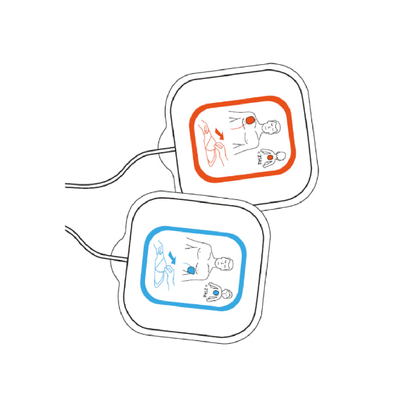 Electrode Reanibex 100